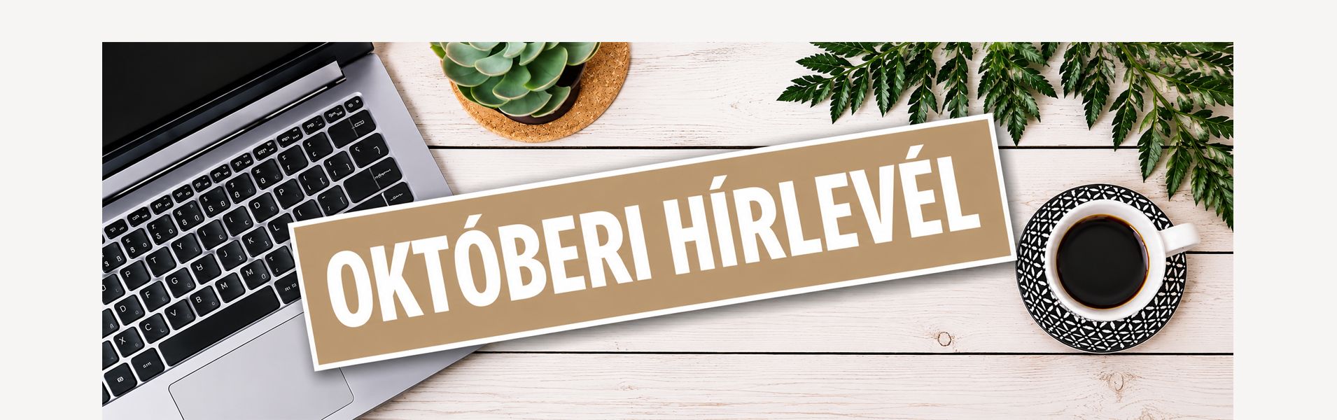 4ELEM WEBÁRUHÁZ