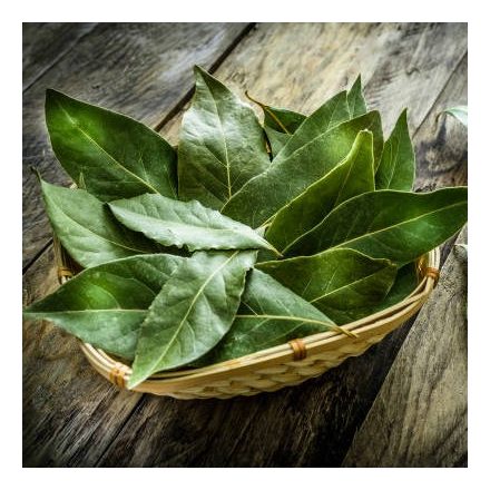 Bio Babérlevél, egész 50 g GreenMark XXL