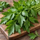 Bio Lestyán morzsolt 150 g GreenMark XXL