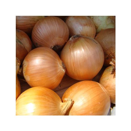Bio Vöröshagyma, őrölt 500 g GreenMark XXL