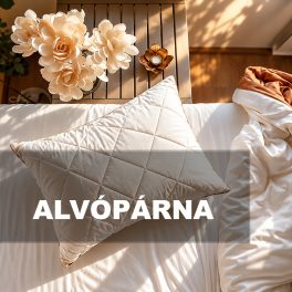 ALVÓPÁRNA