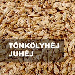 TÖNKÖLYHÉJ ÉS JUHÉJ