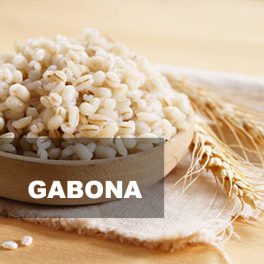 GABONA