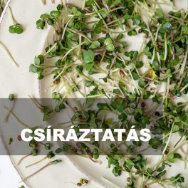 CSÍRÁZTATÁS